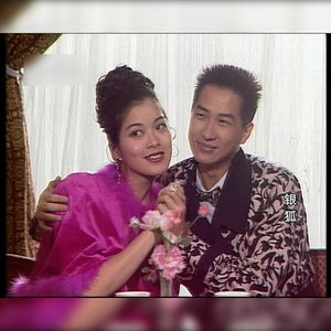 粤语电视剧g《银狐》1993 黄日华 吕颂贤 曾华倩 拍前请咨询