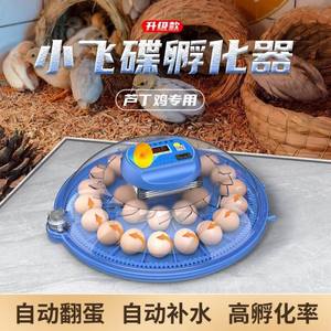 小飞碟孵化器全自动智能温控小型家用迷你孵化机鸟蛋芦丁鸡孵蛋箱