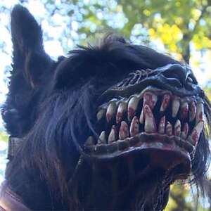 俄恐怖狗嘴套搞怪创意狗笼头防叫防咬狗口罩可调节猛犬中大小型犬