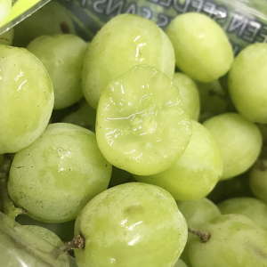 鲜丰水果a级白玉指青提1斤葡萄中果当季新鲜电子优惠券到店自提