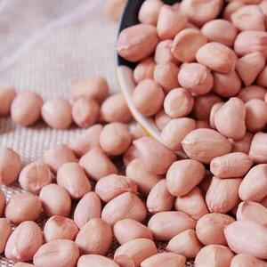 新花生米10斤装生花生米5斤散装粉红皮大粒花生仁榨油种子下酒菜