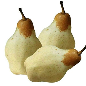 正宗贵妃梨油瓶梨香蕉梨香糯软甜梨赵州特产梨子太婆梨59香梨软梨