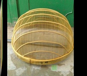 分拣神器黄古鱼筛虾苗筛全新料筛鱼筛子不伤鱼分级筛塑料鱼筛分类