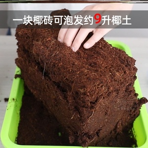 压缩营养椰砖椰壳多肉养花苔藓干椰子爬虫粗砖块垫料浸泡耶椰棕土