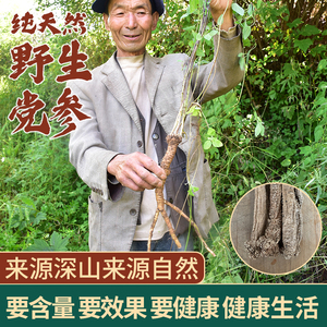 土党参500g克包邮甘肃纹党参干货纯野生中药材特级潞党参段党参