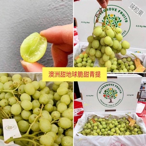 现货美国品种甜地球青提2斤脆甜无籽秋天脆葡萄新鲜水果提子顺丰