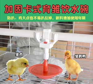 育雏自动饮水器雏鸡乳头饮水碗鸭鹅鹌鹑鸽子饮水杯器喂水鸡用配件