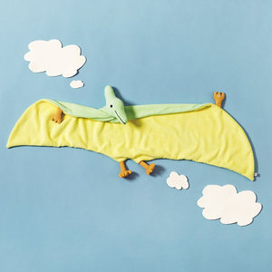 翼龙披肩毛巾披巾室内披风浴巾空调毯日式创意款卡通装饰毛绒玩具