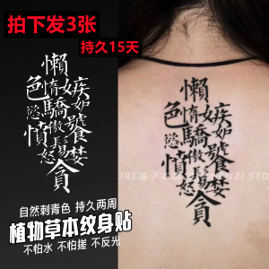 汉字七宗罪中文文艺酷男女持久草本果汁纹身贴花臂不反光防水贴纸