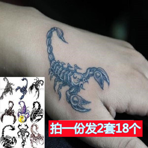 虎口蝎子纹身贴 防水持久仿真个性蝎子刺青男女手臂花臂胸纹身贴