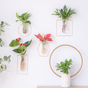 墙挂水培绿萝玻璃花瓶植物室内客a厅装饰文竹墙面壁挂水养绿植花