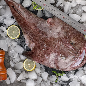 十斤超大安康鱼新鲜蛤蟆鱼深海鮟鱇鱼灯笼鱼丑鱼大嘴鱼海鲜海鱼