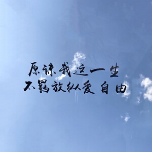 原谅我这一生不羁放纵爱自由车贴beyond黄家驹天窗后玻璃装饰贴i.