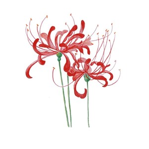 苏绣diy刺绣手帕套件材x料包零基础初学者适用彼岸花含工具