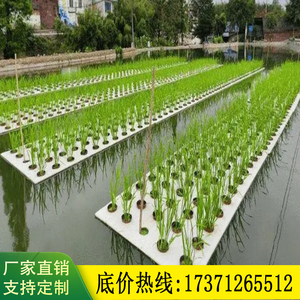 水上水稻种植板蔬菜种植板水培种菜浮力板水上种菜浮板泡沫板浮床