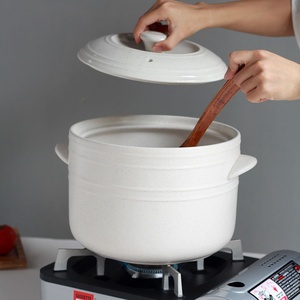 包汤锅沙锅家用燃气