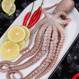 鱿鱼长腿八爪鱼有墨米新鲜海鲜爆头鲜活冷冻海鱼超大网红章鱼一箱