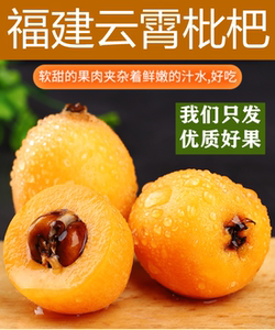 福建云霄枇杷大果