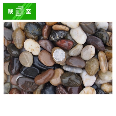 户外地板鹅卵石装饰鹅卵u石2-3cm/颗一公斤园艺彩石头.