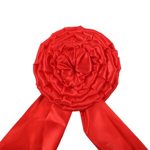 i汽车新车胸前大红花结婚婚礼剪彩牌匾颁奖胸花车队用揭牌红202f2