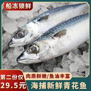 挪威青花鱼冷冻海鲜水产青占鱼鲜活新鲜海鱼秋刀鱼1kg装