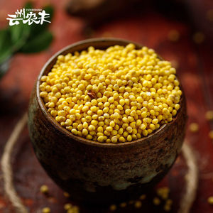 农家大黄米糯米黍米山西大同特产非东北五谷杂粮包粽子黏粘黄米