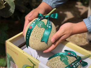 【礼盒装】顺丰包邮 牛3蜜瓜2个海南哈密瓜新鲜水果网纹瓜口口蜜