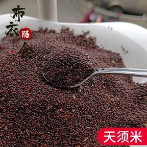 天须米云南昭通镇雄特产本地天星米五谷杂粮汉菜籽天须米粑粑