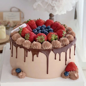 仿真蛋糕模型流行奶油水果塑胶生日蛋糕样品模具款式一6寸