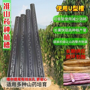 山药浅生槽培育u形塑料槽pvc长条型淮山槽加厚定向槽100条装种植