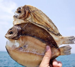 鱼干左口鱼铁脯鱼干比目鱼云吞汤底料