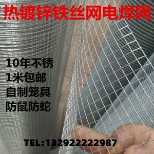 热镀锌铁丝网电焊网养殖围栏阳台隔离多肉防护防鼠蛇铁线小孔镀锌