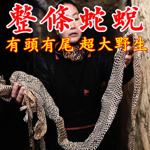 中药材 整条蛇皮蛇蜕蛇退 长虫皮蛇壳9.6元1条 大个精选无沙包邮
