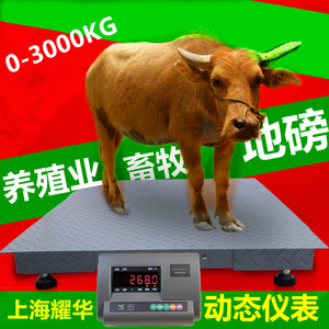 电子地磅秤1-猪吨地称 称3地磅称h3吨 平台秤 地上衡小地