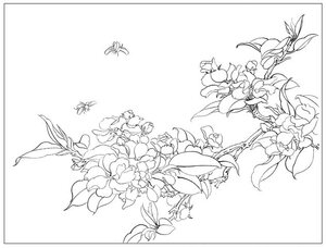 海棠工笔白描稿