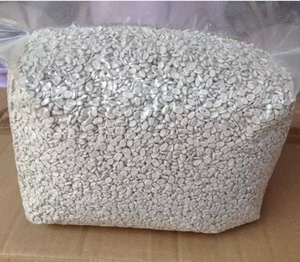 专业生产塑料消泡母粒 pe吸水剂 pp ps片材板材消泡母料除潮颗粒