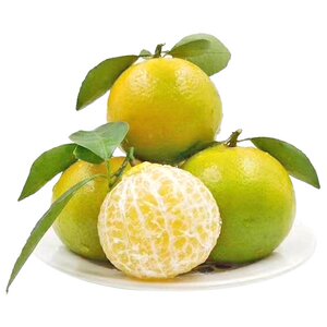 广西灵山皇帝柑