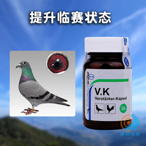 新品姆鸽药德国子发丸斗鸡药补药调理大i品药赛鸽信鸽药鸽爆药用