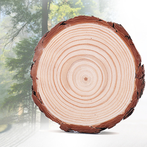 原木片年轮木头片圆木片装饰背景墙 实木片材料手工摆件拍摄道具