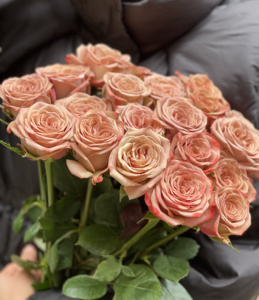 22新鲜玫瑰花卡布奇诺玫瑰复古玫瑰文艺范玫m瑰云南昆明产地直发