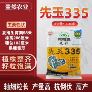 00tb140016842淘宝先玉335玉米种子登海先锋正品保障红轴耐旱高产量
