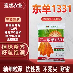 东单1331大棒大全正品玉米种子农科院双胞胎抗倒矮大棒抗淹双棒