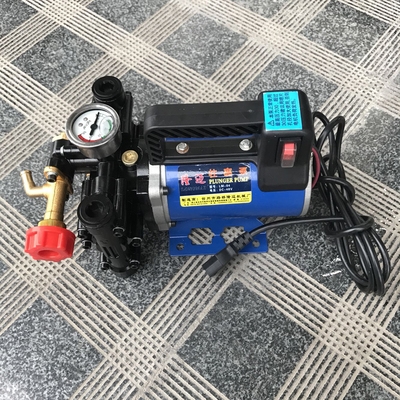 农用电动喷雾12v48zv60v伏高压双缸柱塞喷药泵鱼塘稻田果树打药机
