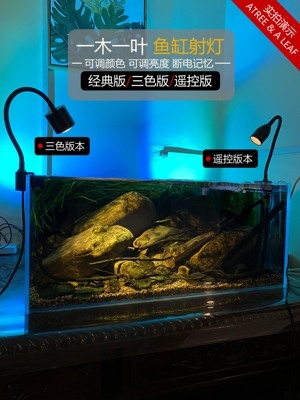 南美缸led射灯新款调l色版本包邮水族射灯原生景射灯 鱼缸射灯夹