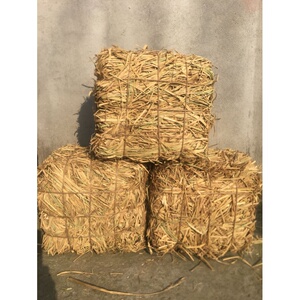 【干草块】干草块品牌,价格 - 阿里巴巴