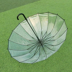 巨大化小伞图片