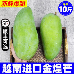 一级越南大青芒果新鲜10斤特大正宗进口时令水果当季青皮金煌整箱