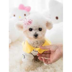 嬉皮狗泰迪衣服冬装