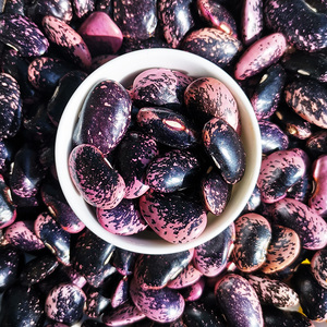 贵州自家生产大花豆缸豆超大花豆炖汤大金豆1000克装饱满大豆农家