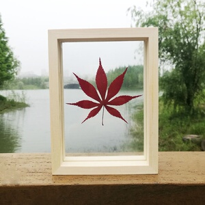 香榭的落叶枫叶标本礼物真树叶子红干花植物立体相框男友女生告白